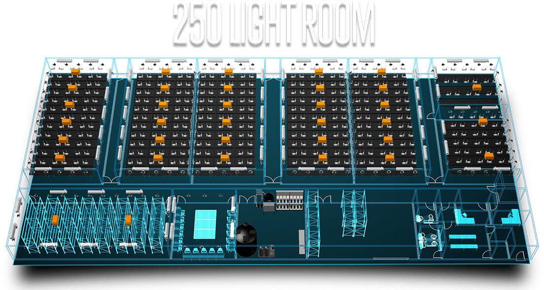 250 Light Room